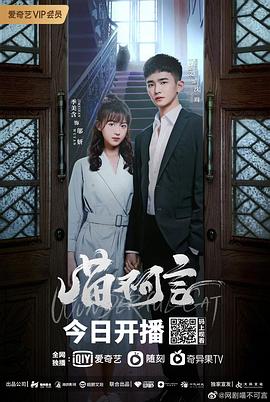 星空视频《喵不可言》免费在线观看