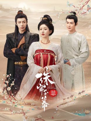 星空影视《珠帘玉幕》免费在线观看