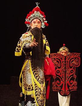 星空视频《袁崇焕2009》免费在线观看