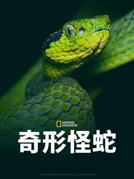 星空视频《奇形怪蛇》免费在线观看